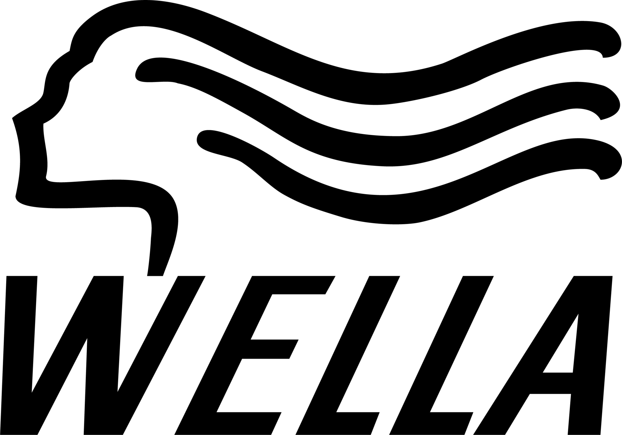 wella-seeklogo